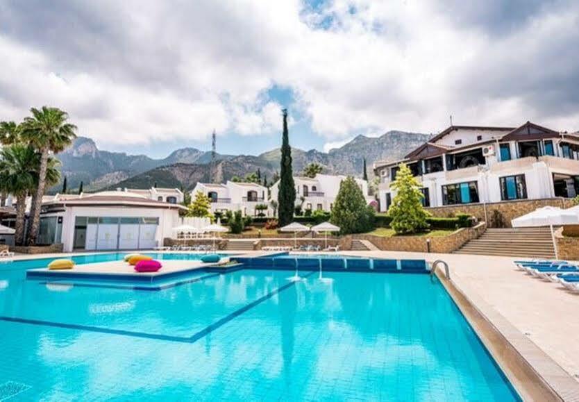 The Olive Tree Hotel Agios Epiktitos 외부 사진