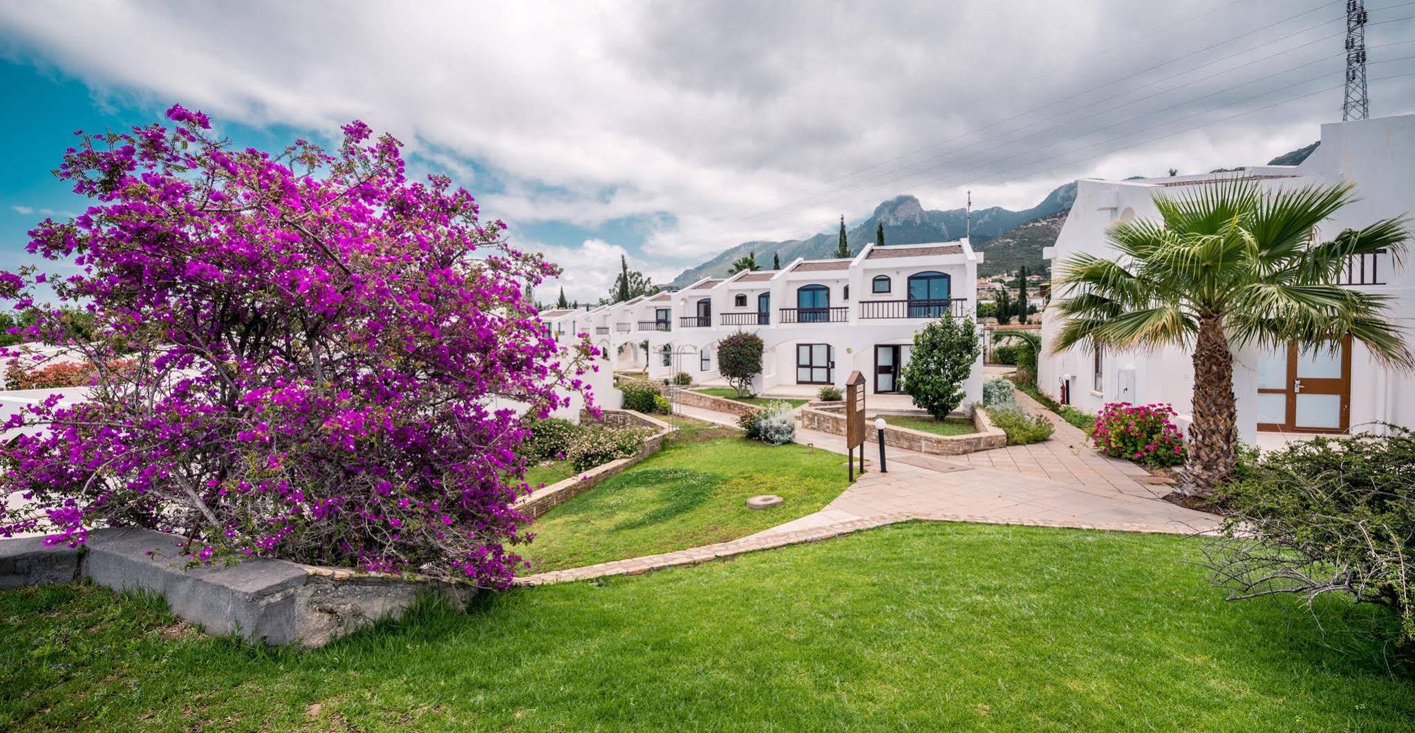 The Olive Tree Hotel Agios Epiktitos 외부 사진